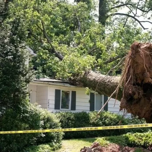 Storm & Wind Damage Repair Services in Westchester, IL